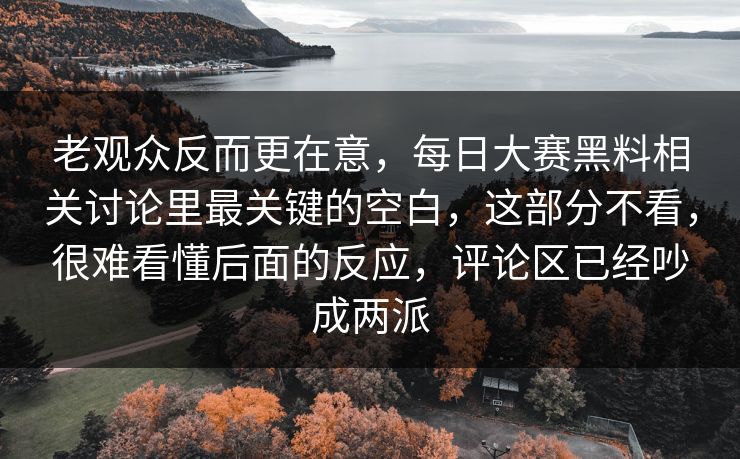 老观众反而更在意，每日大赛黑料相关讨论里最关键的空白，这部分不看，很难看懂后面的反应，评论区已经吵成两派