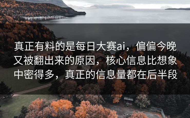 真正有料的是每日大赛ai，偏偏今晚又被翻出来的原因，核心信息比想象中密得多，真正的信息量都在后半段
